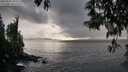 ./images/koeye/fitz-hugh/20250502/fitz-hugh20250502_182510M.jpg