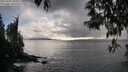 ./images/koeye/fitz-hugh/20250502/fitz-hugh20250502_183010M.jpg