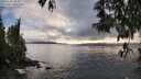 ./images/koeye/fitz-hugh/20250502/fitz-hugh20250502_184010M.jpg