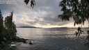 ./images/koeye/fitz-hugh/20250502/fitz-hugh20250502_184510M.jpg
