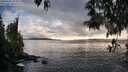 ./images/koeye/fitz-hugh/20250502/fitz-hugh20250502_185010M.jpg