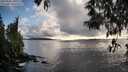 ./images/koeye/fitz-hugh/20250502/fitz-hugh20250502_190509M.jpg