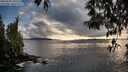 ./images/koeye/fitz-hugh/20250502/fitz-hugh20250502_191508M.jpg