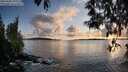 ./images/koeye/fitz-hugh/20250502/fitz-hugh20250502_195508M.jpg