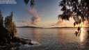 ./images/koeye/fitz-hugh/20250502/fitz-hugh20250502_202009M.jpg