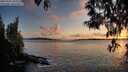 ./images/koeye/fitz-hugh/20250502/fitz-hugh20250502_203509M.jpg