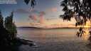 ./images/koeye/fitz-hugh/20250502/fitz-hugh20250502_204009M.jpg