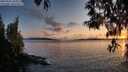 ./images/koeye/fitz-hugh/20250502/fitz-hugh20250502_204509M.jpg