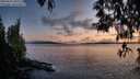 ./images/koeye/fitz-hugh/20250502/fitz-hugh20250502_205509M.jpg