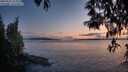 ./images/koeye/fitz-hugh/20250502/fitz-hugh20250502_212009M.jpg