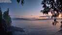 ./images/koeye/fitz-hugh/20250502/fitz-hugh20250502_212509M.jpg