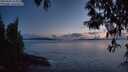 ./images/koeye/fitz-hugh/20250502/fitz-hugh20250502_214009M.jpg