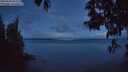 ./images/koeye/fitz-hugh/20250503/fitz-hugh20250503_051508M.jpg