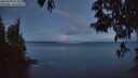 ./images/koeye/fitz-hugh/20250503/fitz-hugh20250503_052008M.jpg