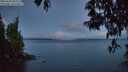 ./images/koeye/fitz-hugh/20250503/fitz-hugh20250503_052508M.jpg