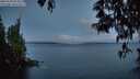 ./images/koeye/fitz-hugh/20250503/fitz-hugh20250503_053009M.jpg
