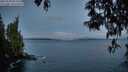 ./images/koeye/fitz-hugh/20250503/fitz-hugh20250503_053508M.jpg