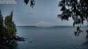 ./images/koeye/fitz-hugh/20250503/fitz-hugh20250503_054008M.jpg
