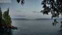 ./images/koeye/fitz-hugh/20250503/fitz-hugh20250503_055009M.jpg