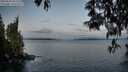 ./images/koeye/fitz-hugh/20250503/fitz-hugh20250503_055508M.jpg