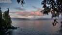 ./images/koeye/fitz-hugh/20250503/fitz-hugh20250503_062510M.jpg