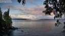 ./images/koeye/fitz-hugh/20250503/fitz-hugh20250503_063509M.jpg