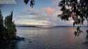 ./images/koeye/fitz-hugh/20250503/fitz-hugh20250503_064009M.jpg