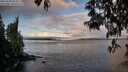 ./images/koeye/fitz-hugh/20250503/fitz-hugh20250503_065011M.jpg