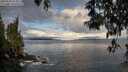 ./images/koeye/fitz-hugh/20250503/fitz-hugh20250503_073010M.jpg