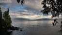 ./images/koeye/fitz-hugh/20250503/fitz-hugh20250503_074010M.jpg