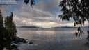 ./images/koeye/fitz-hugh/20250503/fitz-hugh20250503_074507M.jpg