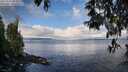 ./images/koeye/fitz-hugh/20250503/fitz-hugh20250503_081011M.jpg