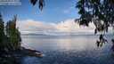 ./images/koeye/fitz-hugh/20250503/fitz-hugh20250503_082011M.jpg