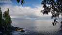 ./images/koeye/fitz-hugh/20250503/fitz-hugh20250503_084010M.jpg