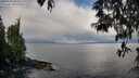 ./images/koeye/fitz-hugh/20250503/fitz-hugh20250503_085011M.jpg