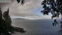 ./images/koeye/fitz-hugh/20250503/fitz-hugh20250503_094010M.jpg