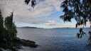 ./images/koeye/fitz-hugh/20250503/fitz-hugh20250503_094511M.jpg