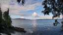 ./images/koeye/fitz-hugh/20250503/fitz-hugh20250503_095010M.jpg