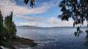 ./images/koeye/fitz-hugh/20250503/fitz-hugh20250503_100012M.jpg