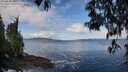 ./images/koeye/fitz-hugh/20250503/fitz-hugh20250503_100510M.jpg