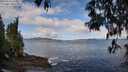 ./images/koeye/fitz-hugh/20250503/fitz-hugh20250503_101010M.jpg