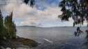 ./images/koeye/fitz-hugh/20250503/fitz-hugh20250503_101511M.jpg