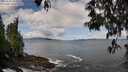 ./images/koeye/fitz-hugh/20250503/fitz-hugh20250503_102510M.jpg