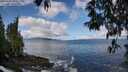 ./images/koeye/fitz-hugh/20250503/fitz-hugh20250503_103508M.jpg