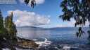 ./images/koeye/fitz-hugh/20250503/fitz-hugh20250503_104010M.jpg