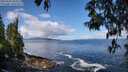 ./images/koeye/fitz-hugh/20250503/fitz-hugh20250503_104508M.jpg