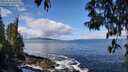 ./images/koeye/fitz-hugh/20250503/fitz-hugh20250503_105010M.jpg