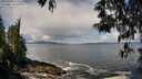 ./images/koeye/fitz-hugh/20250503/fitz-hugh20250503_111509M.jpg