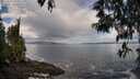 ./images/koeye/fitz-hugh/20250503/fitz-hugh20250503_115510M.jpg
