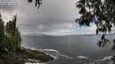 ./images/koeye/fitz-hugh/20250503/fitz-hugh20250503_121509M.jpg